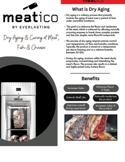 Meatico Flyer