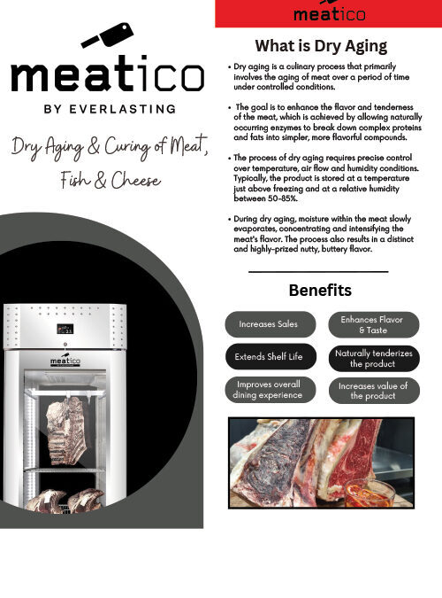 Meatico Flyer